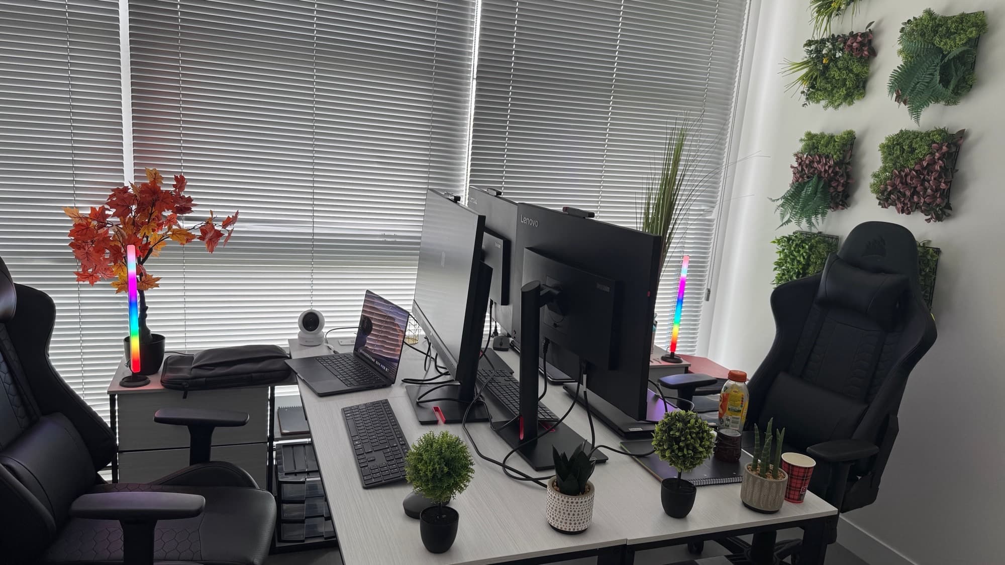 Le bureau d'IngéniSolution à Montauban : postes de travail et mur végétal.