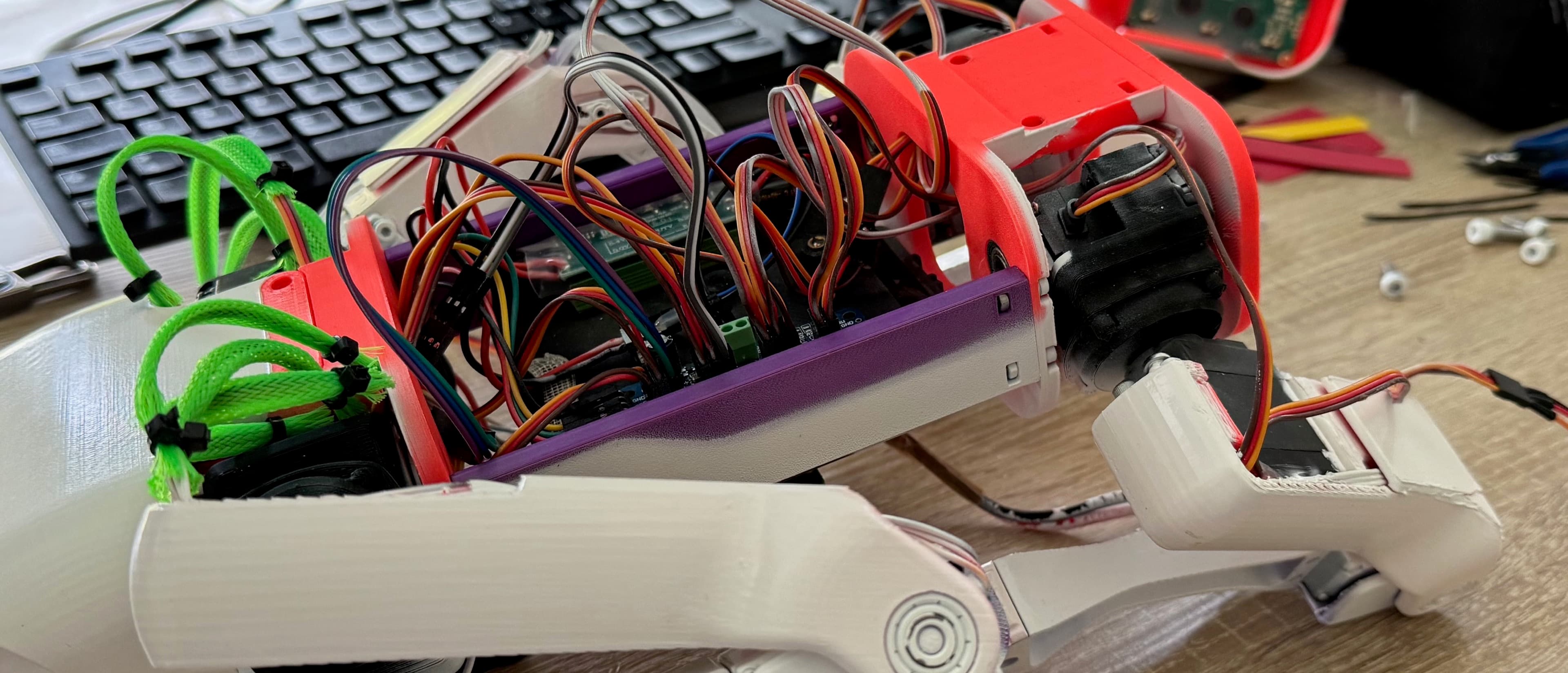 Le robot quadrupède imprimé en 3D en cours d'assemblage.
